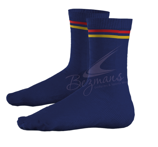 Bergsig/Proteapark Socks